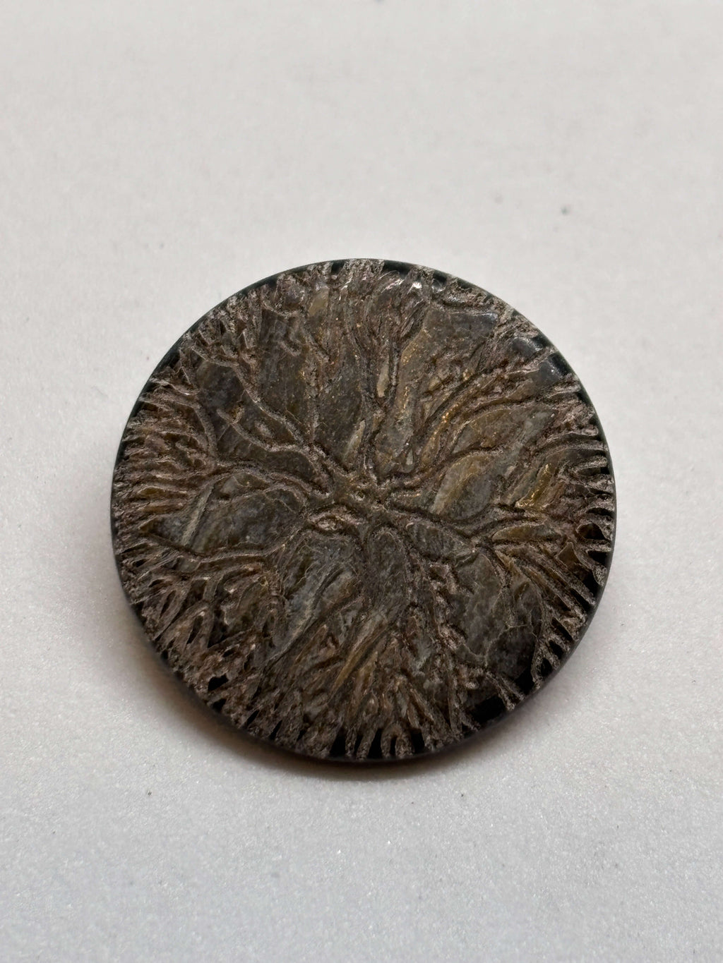 Botón Z668 de vástago en plata antiguo de 20mm con diseño de Árbol de la Vida y textura de corteza detallada. button