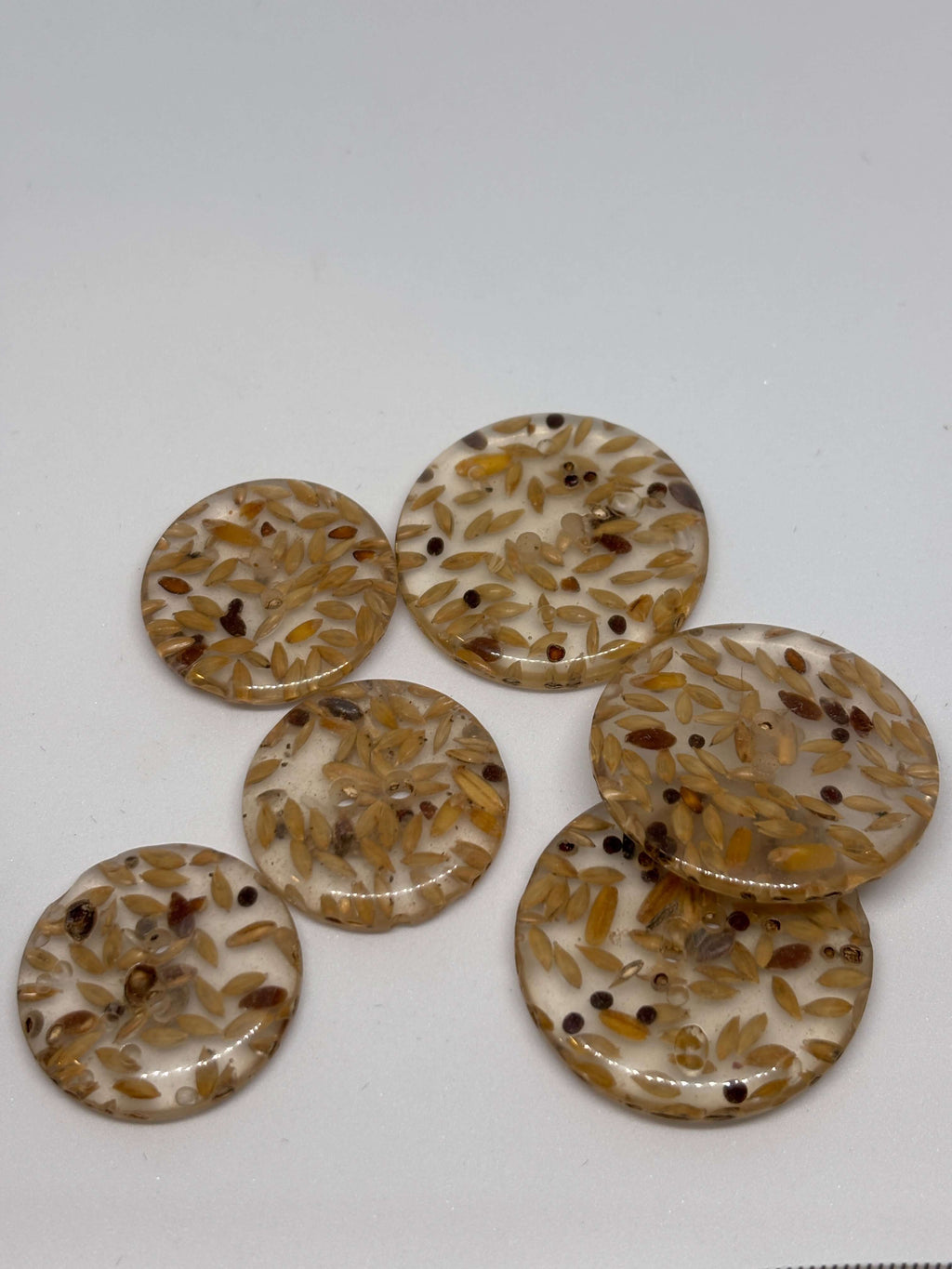 Button P17 - 28mm 34mm - 2 holes  2 agujeros