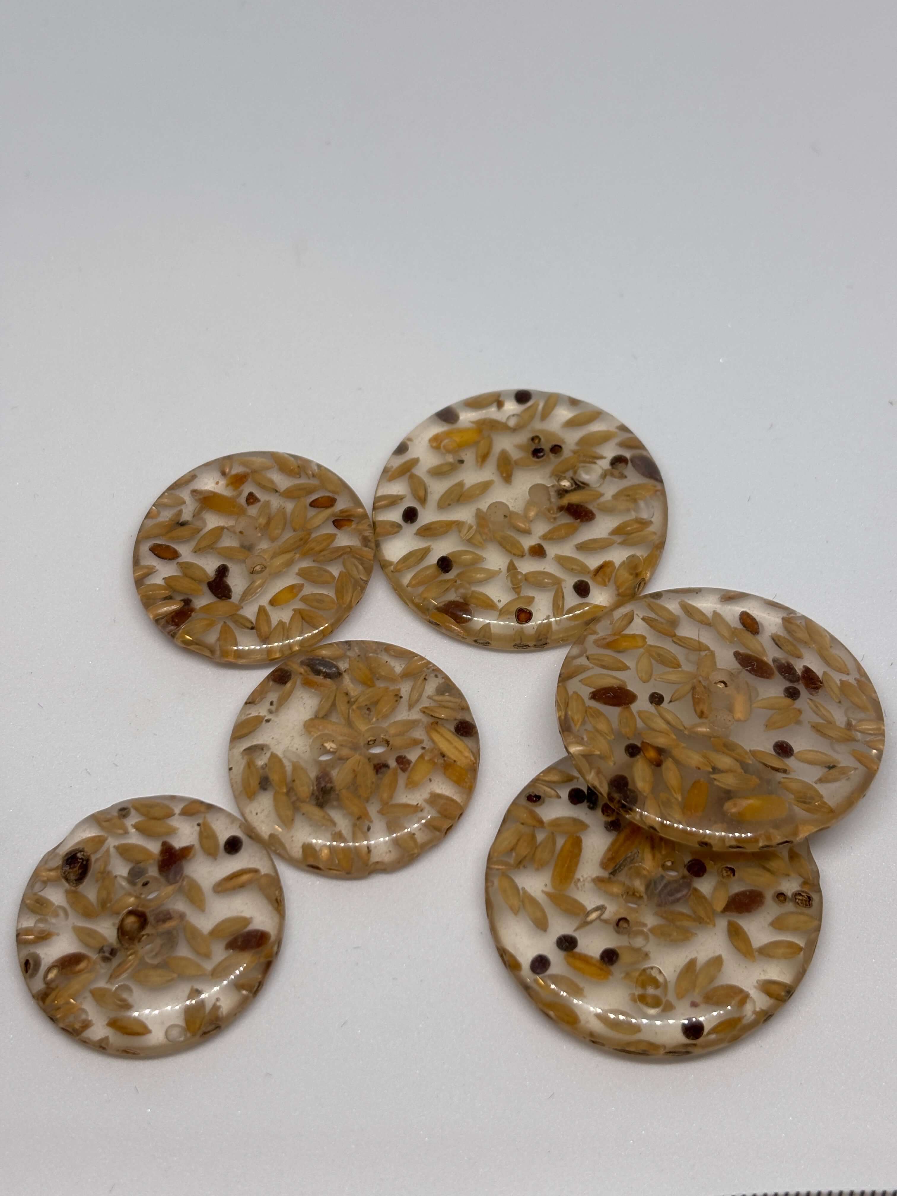 Button P17 - 28mm 34mm - 2 holes  2 agujeros